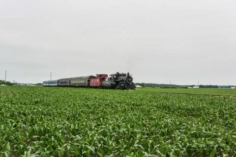 Train passing through a field Stock Photos