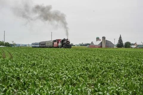 Train passing through a field Stock Photos