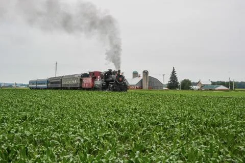 Train passing through a field Stock Photos
