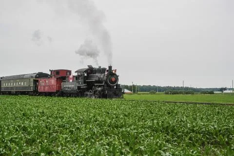 Train passing through a field Stock Photos