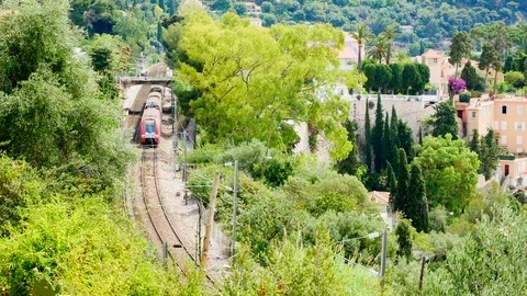 Train passing through forest, countryside train transportation, railroad curb Stock Footage 79277118