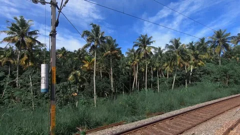 Train passing through a forest Stock Footage 121147385