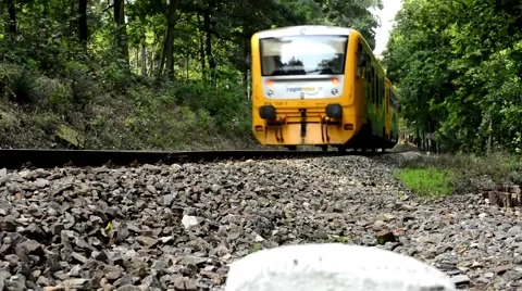 Train passing through the forest - stones - trees 库存影片 42187634