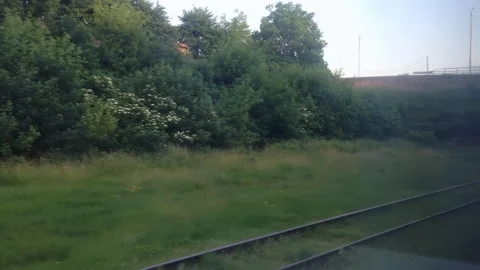 Train is passing through a grassy area with a bridge in the background Stock Footage 295962514