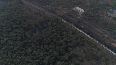 Train passing through jungle Stock Footage 106351397