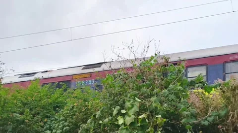 Train Passing Through Lush Green Surroundings Stock Footage 322083642