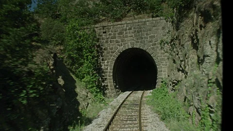 A train passing through some woods. Video stock 87924267