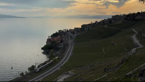 Train passing through vineyard terraces by a lake at sunset with dramatic sky Stockbeeldmateriaal 333039360