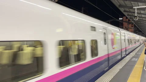 Train passing at train station Stock Footage 256194736