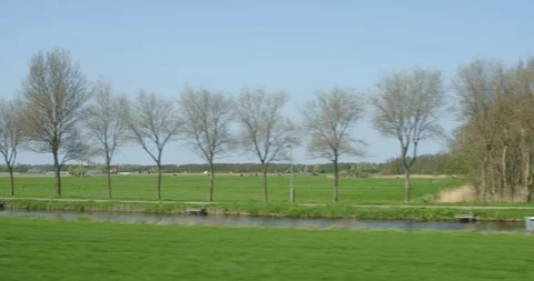 Train passing tulip field Stock Footage 88979720
