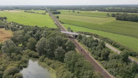 Train passing under a bridge in the countryside Stock Footage 293942610