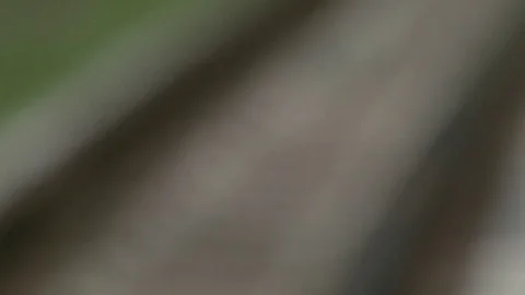 Train paths for transport of children Stock Footage 75016974