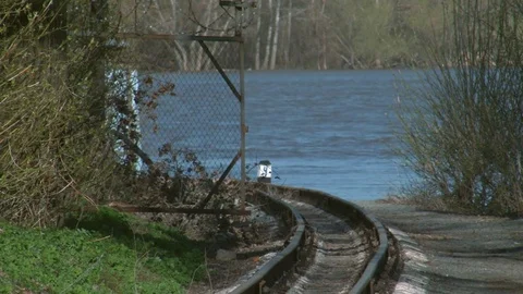 Train paths for transport of children Stock Footage 75017094