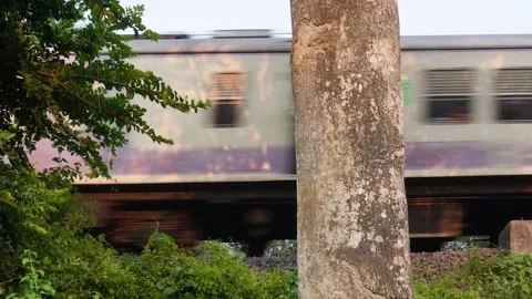 Train Peeking Through Tree Stock Footage 326149251