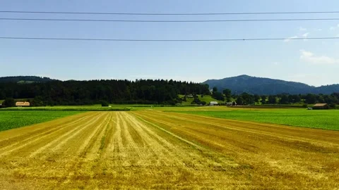 Train Point of View over Agriculture Landscape in a Sunny Summer Day Stock Footage 287212275