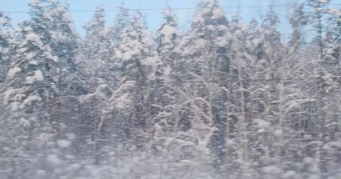 The train provides a cinematic view of woods frozen in time, with snow Vidéo 252942903