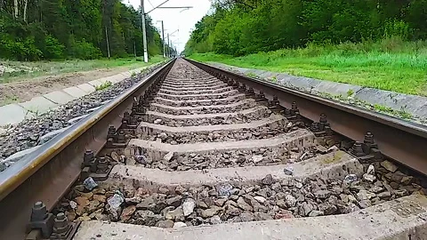 Train rails in the summer forest. Ukraine. Stock Footage 159175507