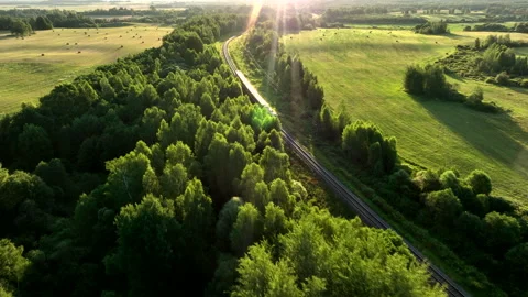 Train on railway in motion, aerial view. Video stock 317345776