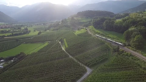 Train on a railway in the mountains Stock Footage 129427369