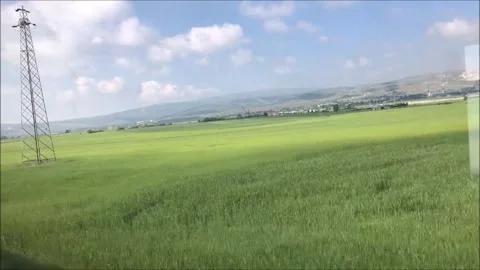 Train on railways 動画素材 142329812