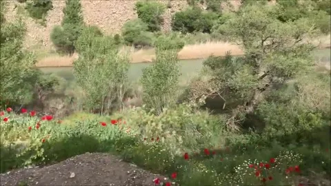 Train on railways 動画素材 142330523