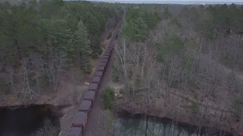 Train revealing in forest landscape Stock Footage 85557513