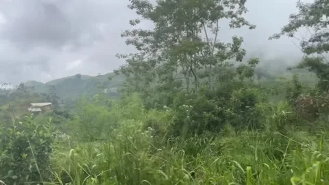 Train ride between cloudy mountains in Sri Lanka Stock Footage 261664286