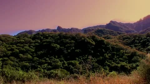 Train ride Stock-Footage 10919244