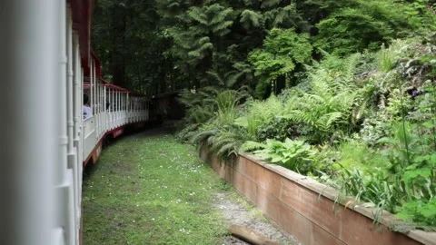 Train Ride Stock Footage 202279347