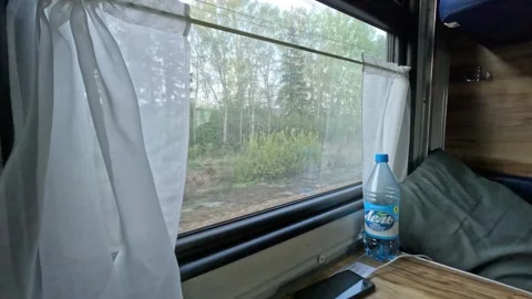 Train ride, inside, water lel, view from the window, siberia, forest belt Stock Footage 244743159