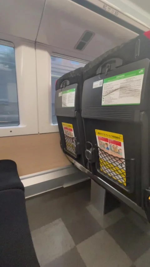 Train Ride POV Stock Footage 236261629