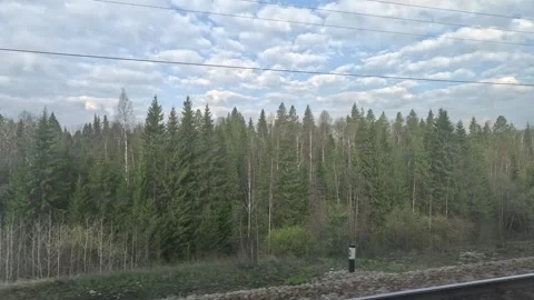 Train ride siberia dense forests coniferous birch forest railway tracks hills Stock Footage 244743858