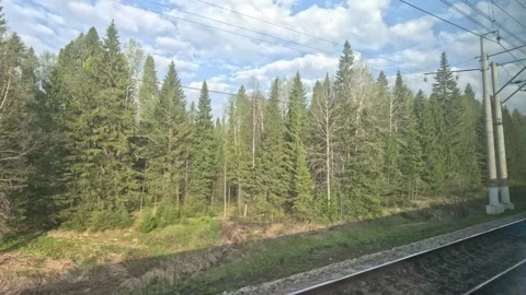 Train ride, siberia, dense forests, coniferous birch forest railway tracks hills Stock Footage 244743929