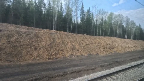 Train ride, Siberia, dense forests, coniferous birch forest, railway tracks, new Stock Footage 244743930