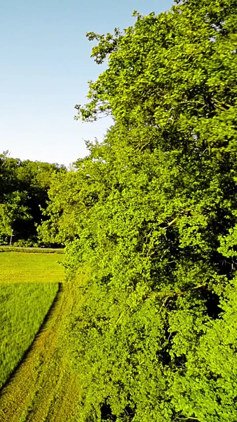 Train ride through the beautiful Opole countryside Stock Footage 278463124