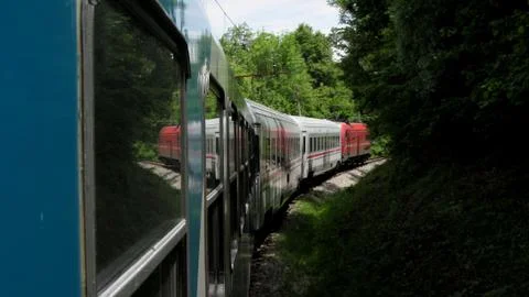 Train Ride Through Forest Stock Photos