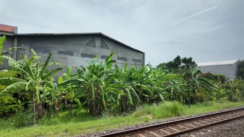 Train ride through landscapes on Java Island Stock Footage 336946936