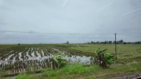 Train ride through landscapes on Java Island 스톡 동영상 336947354