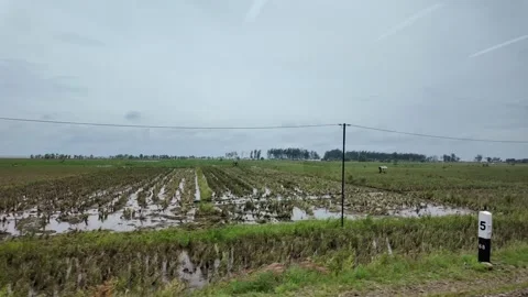 Train ride through landscapes on Java Island 스톡 동영상 336947357