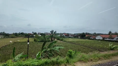 Train ride through landscapes on Java Island 스톡 동영상 336947371