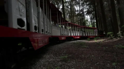 Train Ride through the Park Stock Footage 202279444