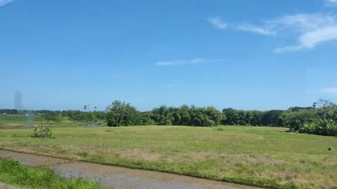 Train ride through rice fields Stock Footage 198243596