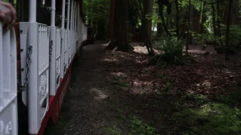 Train Ride into a Tunnel Stock Footage 202279156