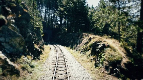 Train ride, View from the back Stock Footage 87650370