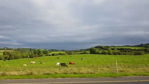 Train ride view of countryside Ireland Stock Footage 153151453