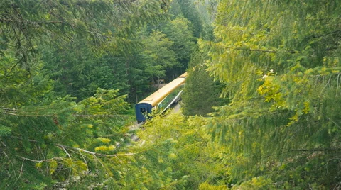 Train rides in the forest Stock Footage 63749146