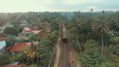 The train rides in the forest shot from the air Video stock 73218051