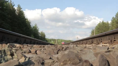 Train rides over the camera in a pine forest 库存影片 133622037