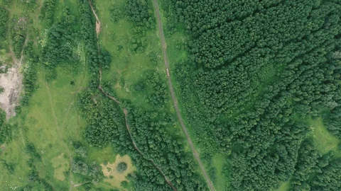 Train rides by rail in the forest Stock Footage 119692188