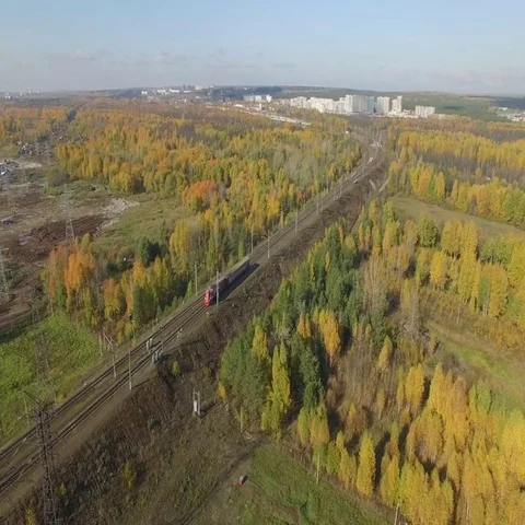 Train rides through an autumn forest on the horizon you can see the city. 動画素材 69633353